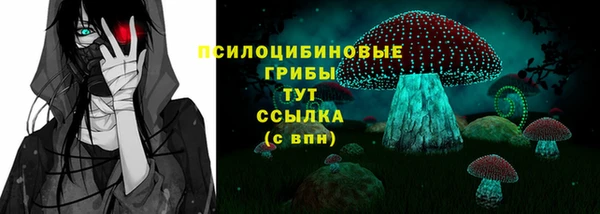 apvp Алексин