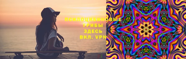 МДПВ Алзамай