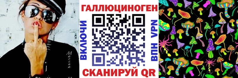 Псилоцибиновые грибы Psilocybe Октябрьский